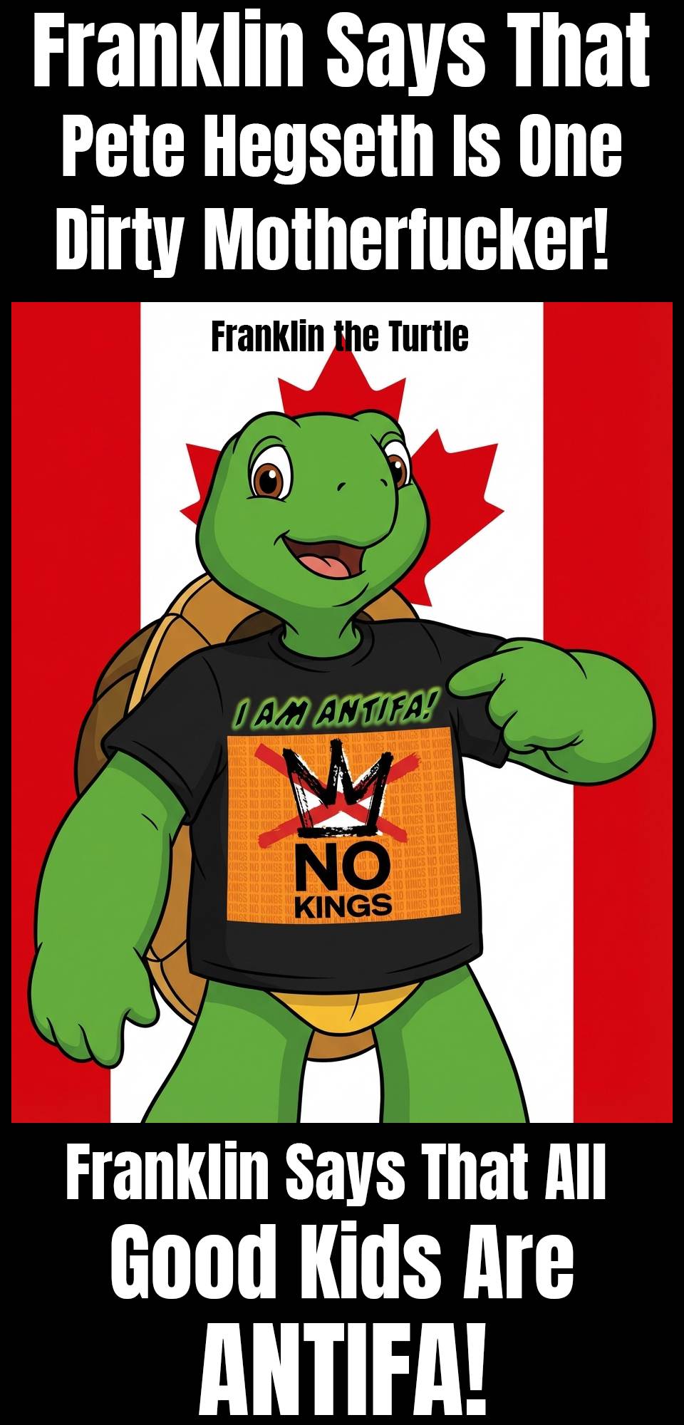 AntiFaFranklintheTurtle2960x2000